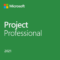 2021ProjectProfessional 1